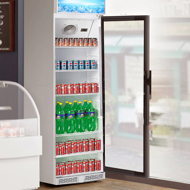 Small Beverage Cooler Displaying Drinks with Auto Defrost